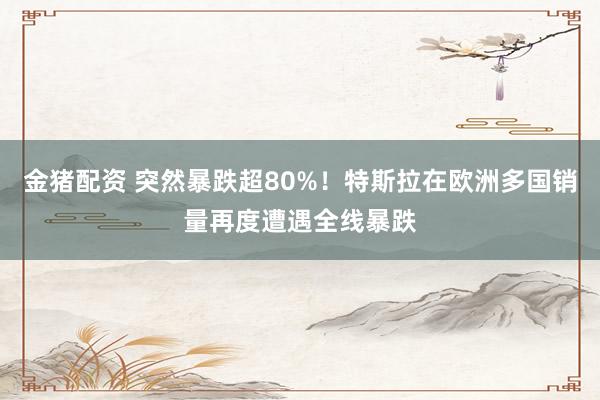 金猪配资 突然暴跌超80%！特斯拉在欧洲多国销量再度遭遇全线暴跌