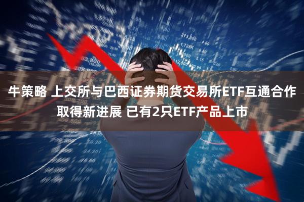 牛策略 上交所与巴西证券期货交易所ETF互通合作取得新进展 已有2只ETF产品上市