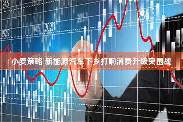小麦策略 新能源汽车下乡打响消费升级突围战